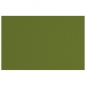 Papir u boji B1 220g Elle Erre Fabriano 46470128 maslinasto zeleni (verdone)