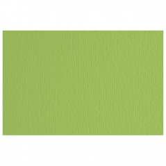 Papir u boji B2 220g Elle Erre Fabriano 42450710 zeleni (verde pisello)