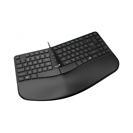 Genius Ergo KB-700,BLK,SER,USB