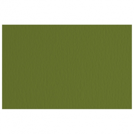 Papir u boji B1 220g Elle Erre Fabriano 46470128 maslinasto zeleni (verdone)