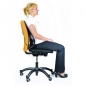 Odmarač za leđa Mesh Professional  Fellowes 8029901 crni