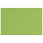 Papir u boji B3 220g Cartacrea Fabriano 46435110 zeleni (verde pisello)