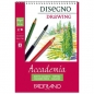 Blok accademia disegno drawing spirala 21x29,7cm 30L 200g Fabriano 44202129