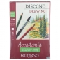 Blok accademia disegno drawing spirala 42x59,4cm 30L 200g Fabriano 44204259