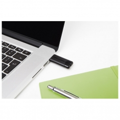 Memorija USB 3.2  16Gb PinStripe Verbatim 49316 crna blister