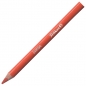 Drvene bojice 12 boja+rezač jumbo Pelikan 700160 blister