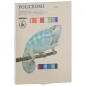 Boje suve (suvi pastel) 24 boje karton CMP 021GC24I