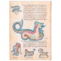 Notes 13x18cm-midi linije 88L Astronomica Paperblanks FB7289-8