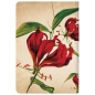 Notes  9,5x14cm-mini linije  88L Gloriosa Lily Paperblanks PB3574-9