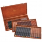 Boje drvene 120boje u drvenoj kutiji Limited Edition Derwent 2302731