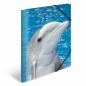 Fascikla PP sa gumicom DOLPHIN, 240 x 320 x 15 mm Herma