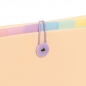 Expanding organizer sa 6 pregrada i gumicom USPRAVNI Rainbow Pastel Viquel sortirano