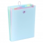 Expanding organizer sa 6 pregrada i gumicom USPRAVNI Rainbow Pastel Viquel sortirano