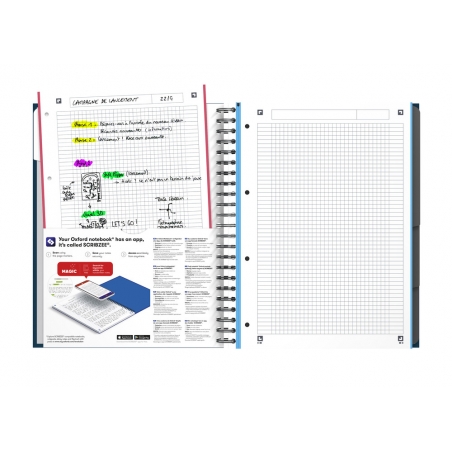 Sveska Oxford Office Essentials Europeanbook A4+ kvadratići, 4 Subject Oxford