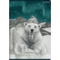 Sveska A5 SuperPremium 60 lista Forest/Ice, 70g, margine Top2000 karo
