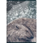 Sveska A5 SuperPremium 60 lista Forest/Ice, 70g, margine Top2000 karo