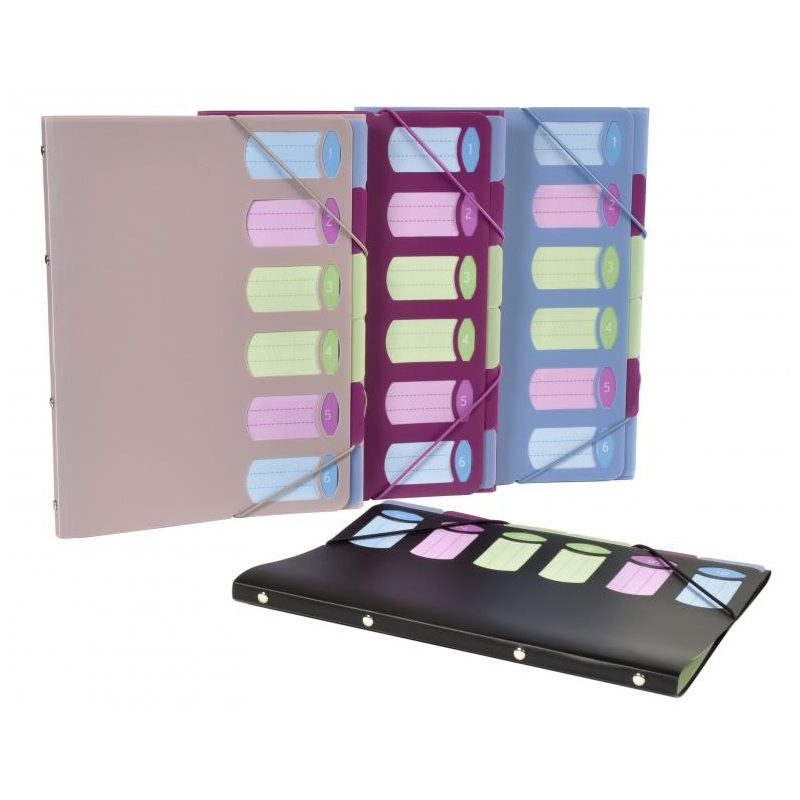 PVC Organiser sa 6 pregrada i gumicom Viquel sortirano