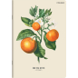 Sveska A5 SuperPremium 60 lista Summer, 70g, margine Top2000 karo