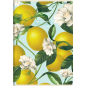Sveska A5 SuperPremium 60 lista Summer, 70g, margine Top2000 karo