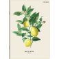 Sveska A4 SuperPremium 60 lista Summer, 70g, margine Top2000 karo