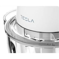 Seckalica TESLA FC302W 400W/bela