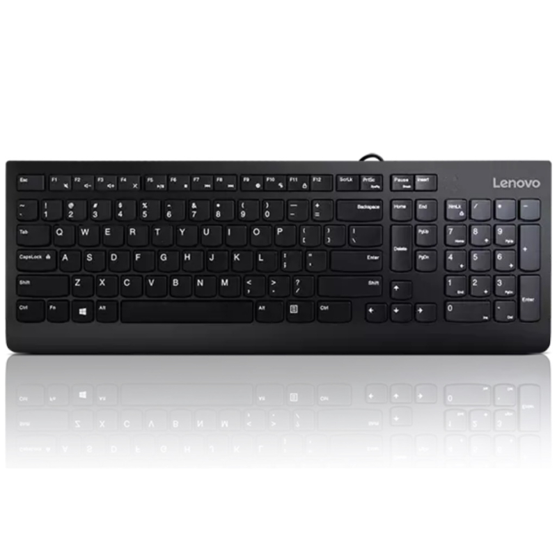 Tastatura LENOVO 300 USB/US/103P/crna