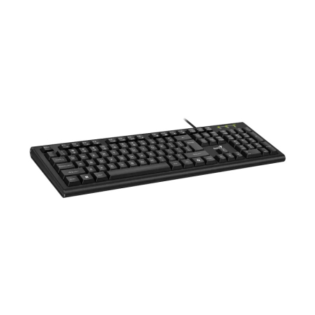 Genius KB-113,AI,BLK,SER,USB