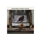 Televizor LG OLED55B6ELC