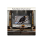 Televizor LG OLED65B6ELC/OLED/65"/4K UHD/smart/webOS 24/crna