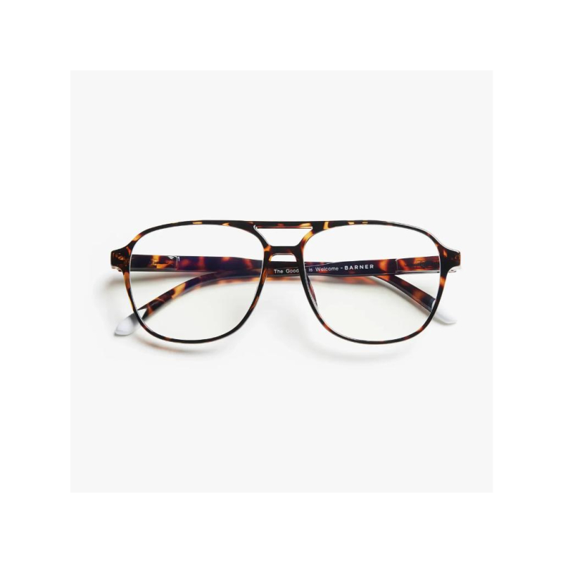Zaštitne naocare BARNER Brad/Glossy Tortoise