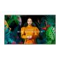 Digital Signage SAMSUNG LH55QMCEBGCXEN 55"/3840x2160/500nit/ 24/7 